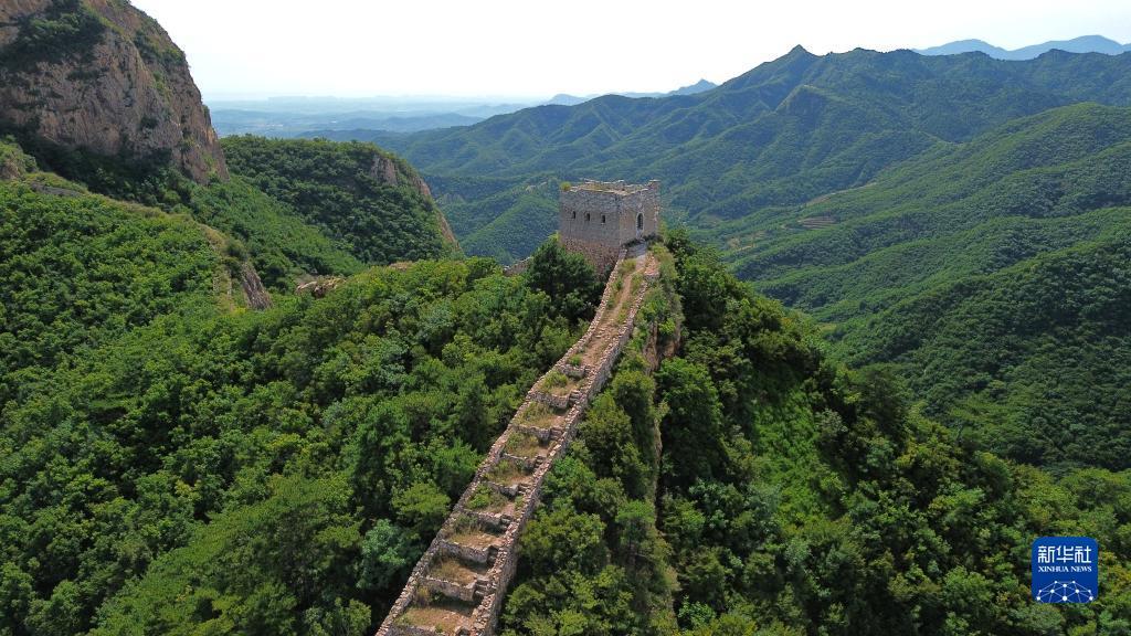 手机版捕鱼游戏大厅